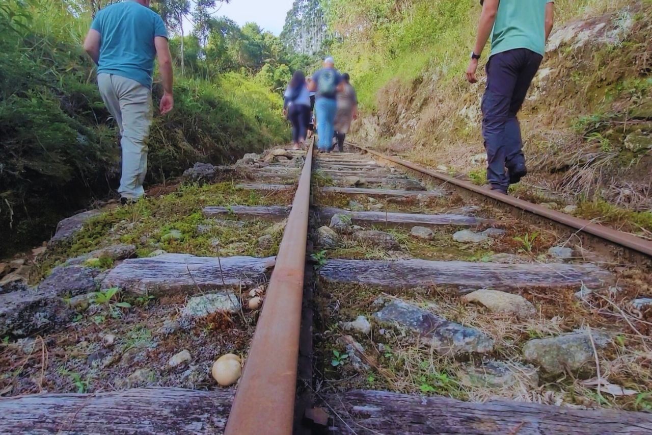 Trilha-dos-trilhos Trilha histórica da Estrada de Ferro Campos do Jordão